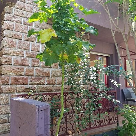 Chambres Privees Maison Jardin Toutes Commodites Partagees Вальрас-Пляж Экстерьер фото